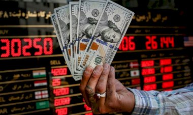 چرا تثبیت دولتی نرخ ارز به افزایش آن در بازار آزاد منجر می‌شود؟