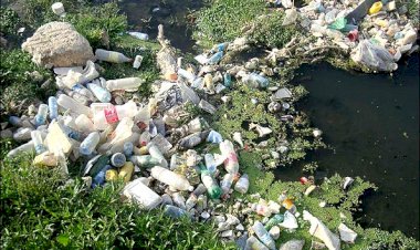 مدیریت پسماندها و حذف پلاستیک‌های یکبار مصرف