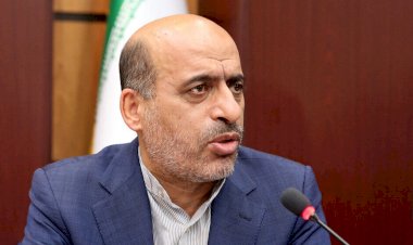 ادغام طرح تشکیل سازمان ملی مهاجرت با لایحه ساماندهی اتباع خارجی