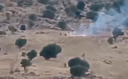 ببینید | لحظات آتش زدن جنگل‌های بانه