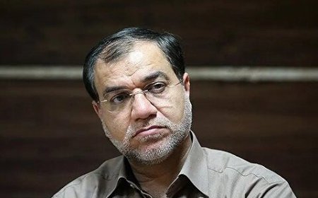 فضائلی: شفافسازی مفهوم وفاق برای جلوگیری از سوءتفاهم / دکتر پزشکیان باید از وفاق دولت خود صیانت کند