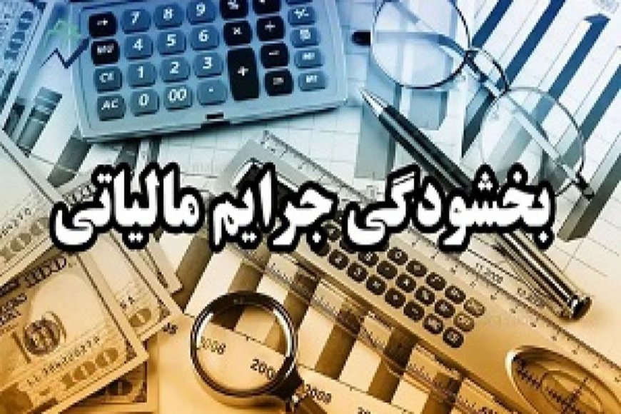 بخشودگی جرایم مالیاتی تا سقف ۳۰ میلیارد ریال برای اشخاص حقوقی