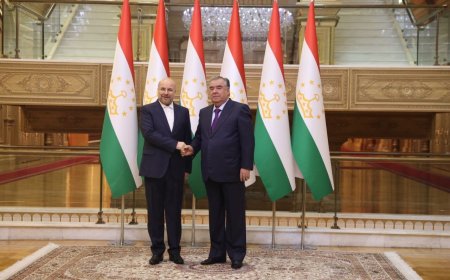 دیدار رئیس مجلس شورای اسلامی ایران با رئیسجمهور تاجیکستان در دوشنبه