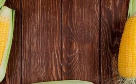 کاکل ذرت؛ گیاهی با خواص درمانی متعدد