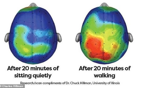 ۲۰ دقیقه پیاده‌روی؛ راز تقویت قدرت مغز