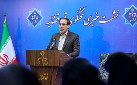 صدور اعلان قرمز برای بازگرداندن مرجان شیخ‌الاسلامی