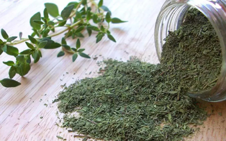 این افراد از مصرف آویشن دوری کنند