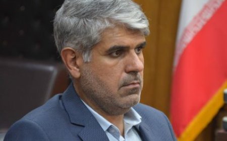 پیشنهادات فرشاد ابراهیم پور برای ساماندهی واردات خودروهای مناطق آزاد