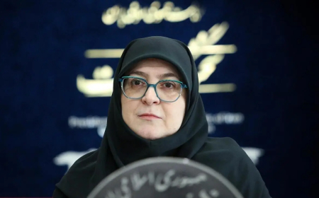 تصویب کارگروه اقتصاد دیجیتال و آیین‌نامه واردات خودروهای برقی در دولت