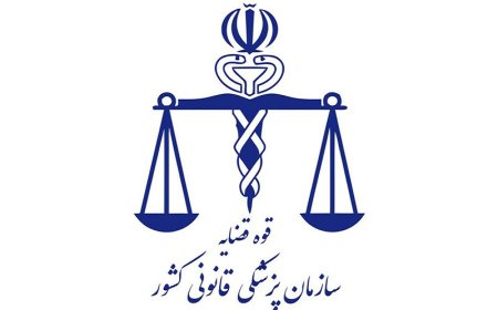 کاهش دو درصدی مصدومان حوادث کار در تهران طی شش ماه نخست امسال