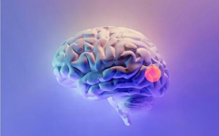 شناسایی ۱۰ ثانیهای تومورهای مغزی قسر در رفته توسط هوش مصنوعی