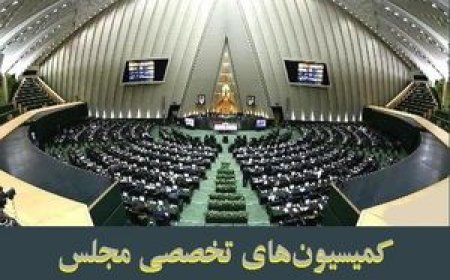 جلسات کمیسیونهای مجلس با حضور وزرا و بررسی طرحها در هفته پایانی آبان