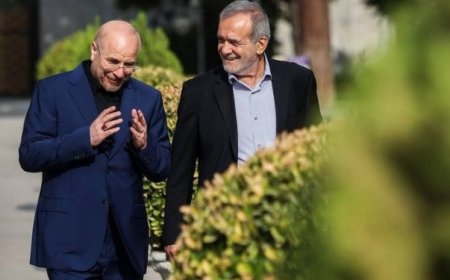 دستیار سیاسی رئیس مجلس: مبنای وفاق حل مسائل مردم ذیل سیاستهای رهبری و قانون است