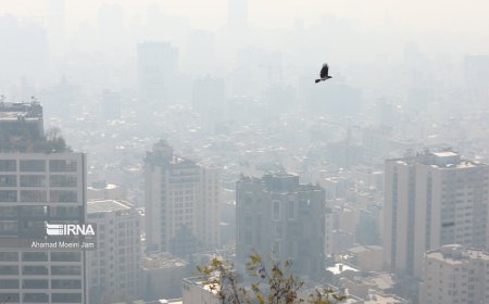 تعطیلی مدارس ابتدایی تهران به دلیل آلودگی هوا