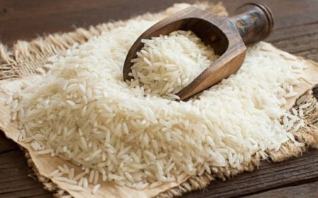 ادعای واردات ۶۰ هزار تن برنج تقلبی تکذیب شد