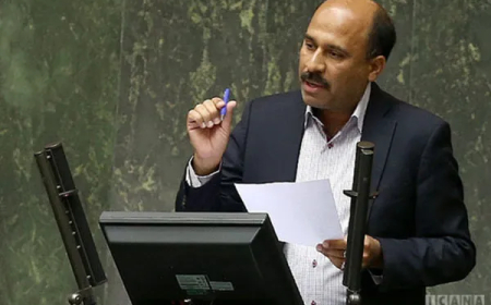 حذف ارز نیمایی فراوانی کالا را در پی خواهد داشت