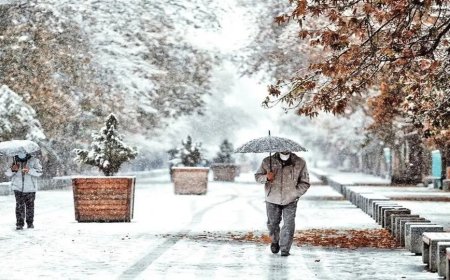 تعطیلی احتمالی مدارس و ادارات تهران فردا به دلیل سرمای شدید و بارش برف