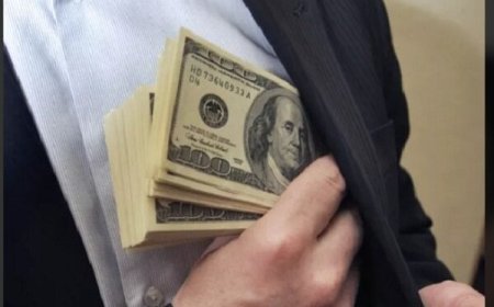 افزایش قیمت دلار مبادلهای در سهشنبه ۳۰ بهمن ۱۴۰۳