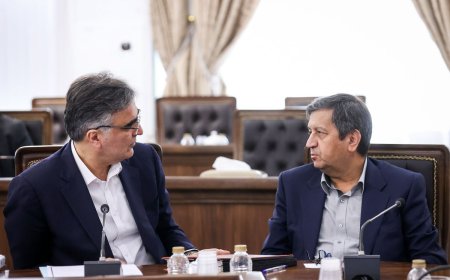 مجلس به دنبال استیضاح وزیر اقتصاد؛ بانک مرکزی متهم است