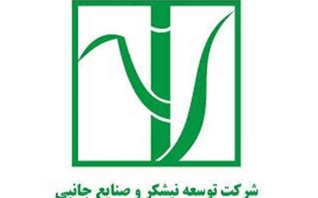 شتاب قطار سریع السیر واگذاریها و خروج از بنگاهداریها بانک ملی ایران