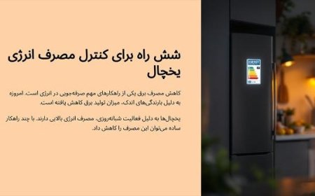 شش راه برای کنترل مصرف انرژی یخچال و فریزر صنعتی