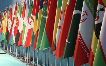 دیپلماسی پارلمانی ایران؛ پلی به سوی همگرایی اسلامی