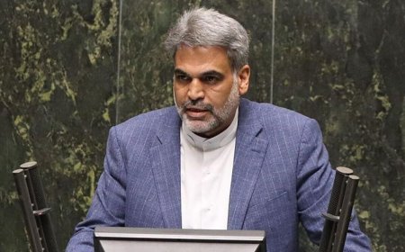 عضو کمیسیون اقتصادی مجلس: دولت باید در زمان مقرر، فردی شایسته و با رزومه قوی در حوزه اقتصاد معرفی کند