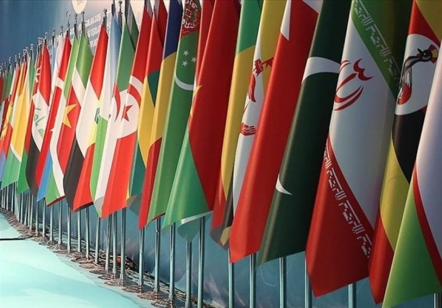 دیپلماسی پارلمانی ایران؛ پلی به سوی همگرایی اسلامی