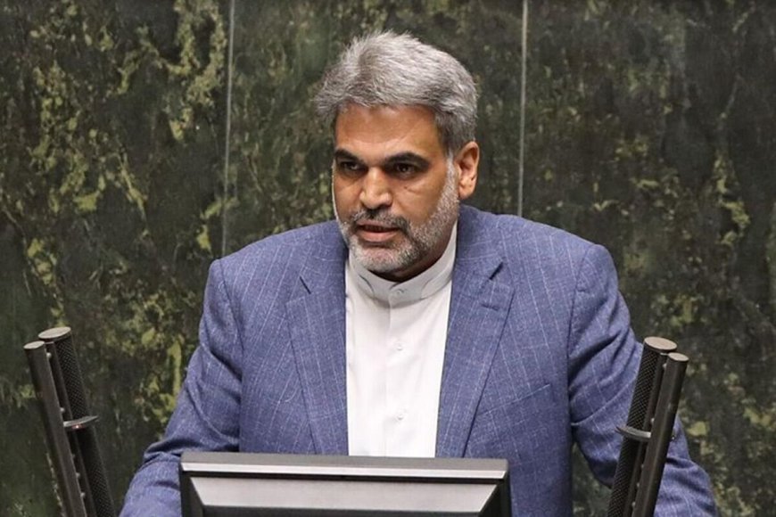 عضو کمیسیون اقتصادی مجلس: دولت باید در زمان مقرر، فردی شایسته و با رزومه قوی در حوزه اقتصاد معرفی کند