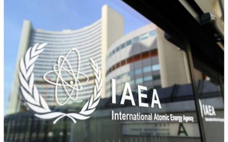 نماینده مجلس: تعلیق همکاری با آژانس مبتنی بر معاهده وین است