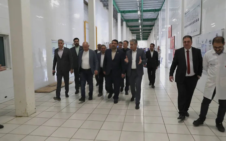 بازدید مدیرعامل بانک ملی از خطوط تولید و ظرفیتهای صادراتی کاله