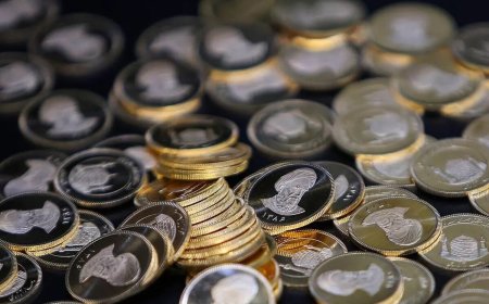 نمایندگان مجلس با کاهش سقف کیفری مهریه از ۱۱۰ به ۱۴ سکه موافقت کردند