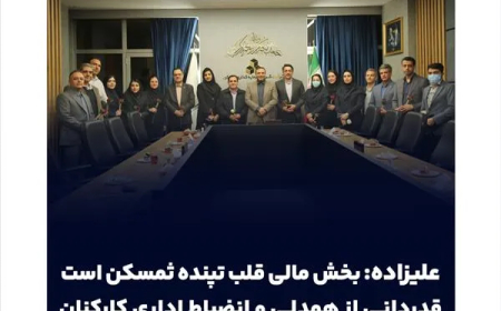 علیزاده: بخش مالی قلب تپنده ثمسکن است / قدردانی از همدلی و انضباط اداری کارکنان