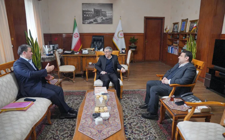 بانک ملی ایران الگوی موفق در خروج از بنگاه‌داری و حمایت از تولید