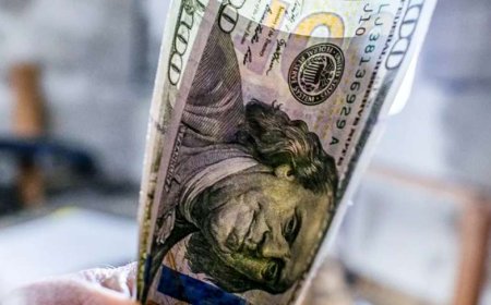 قیمت دلار امروز دوشنبه ۱۳ بهمن ۱۴۰۴؛ آغاز موج جدید کاهش قیمت ارز