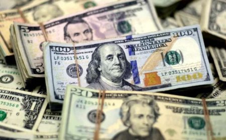 پیش بینی قیمت دلار یکشنبه ۱۹ بهمن ۱۴۰۴؛ کاهش ۲۵۰۰ تومانی قیمت دلار در اولین روز هفته