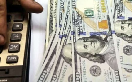 پیش بینی قیمت دلار سه شنبه ۲۱ بهمن ۱۴۰۴؛ صعود دلار در سایه تنش‌های سیاسی