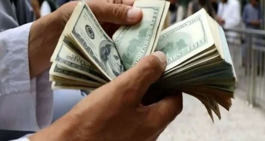 آموزش نحوه ثبت نام و دریافت ارز حج تمتع ۱۴۰۵ + جزئیات