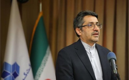 در سالروز تأسیس گروه سرمایه‌گذاری مسکن؛ معاون مالی ثمسکن از ثبت عملکرد مالی کم‌سابقه در سال گذشته خبر داد