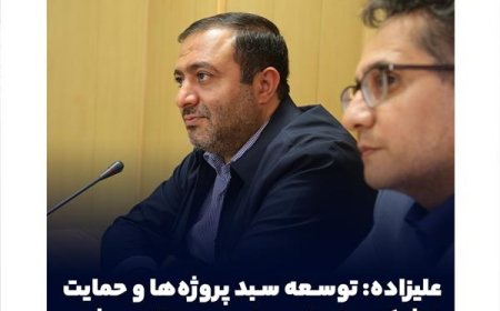 علیزاده: توسعه سبد پروژه‌ها و حمایت از شرکت‌های تابعه با جدیت دنبال می‌شود