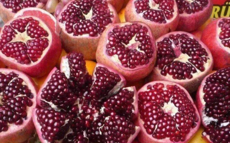فواید انار برای بدن؛ چرا این میوه را باید در رژیم غذایی خود قرار دهیم؟