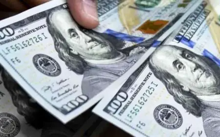 قیمت دلار امروز ۸ مرداد ۱۴۰۵؛ دلار در ۱۹۲ هزار تومان ماند