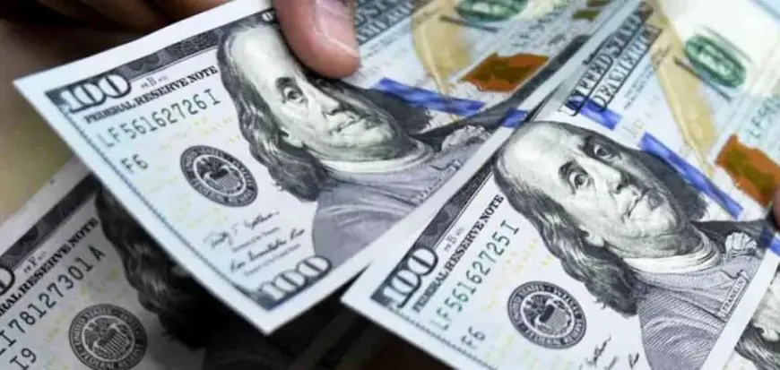 قیمت دلار امروز ۸ مرداد ۱۴۰۵؛ دلار در ۱۹۲ هزار تومان ماند