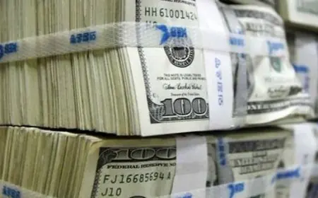 بانک مرکزی نخستین مرحله عرضه اسکناس ارزی را کلید زد