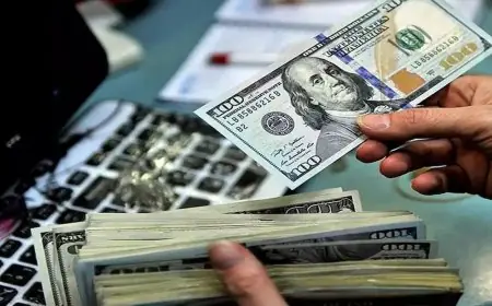 قیمت دلار، یورو و سایر ارزها امروز ۸ شهریور ۱۴۰۵