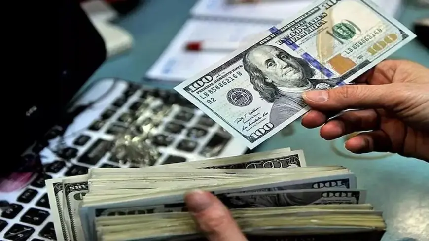 قیمت دلار، یورو و سایر ارزها امروز ۸ شهریور ۱۴۰۵